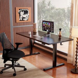 ErGear Height Adjustable Electric Standing Desk, 48 x 24 Inches Sit Stand up Desk, Memory Computer Home Office Desk, Black Black 47.2 X 23.6 Inches